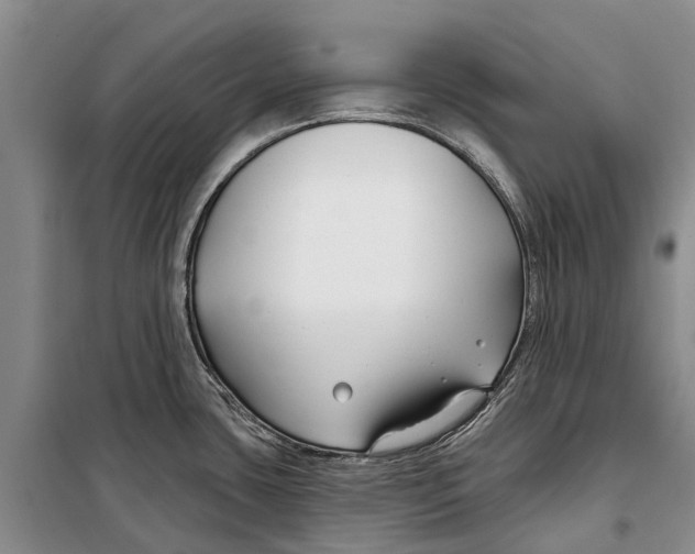 X0000098211435200805151241
