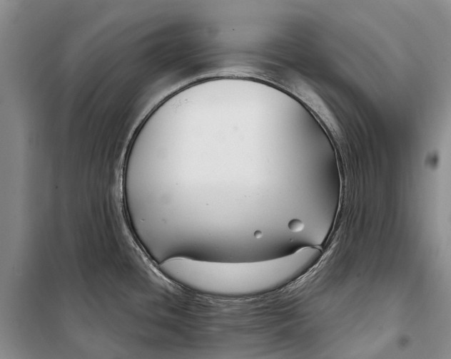 X0000098211436200805151241