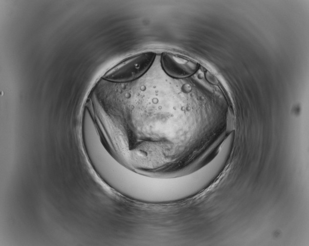 X0000098211437200805151241
