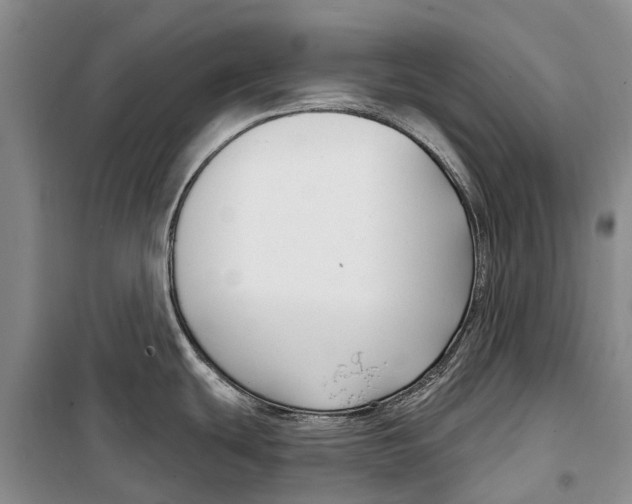 X0000098211439200805151241