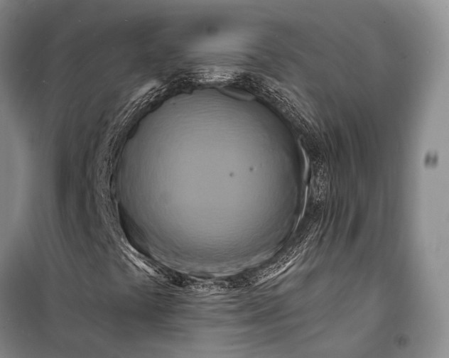 X0000098211441200805151241