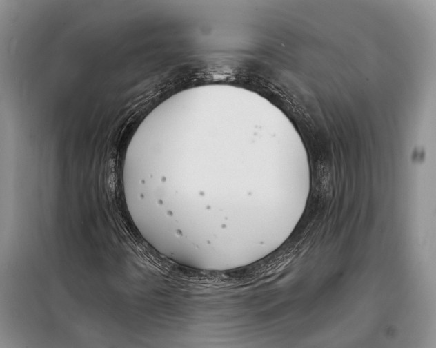 X0000098211442200805151241