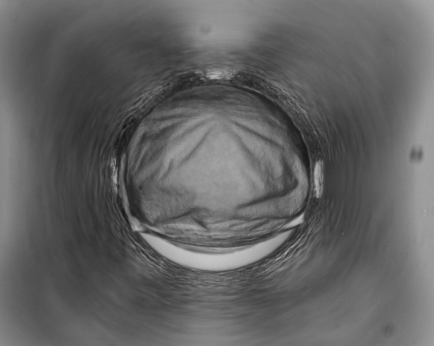 X0000098211443200805151241