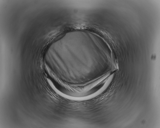 X0000098211444200805151241