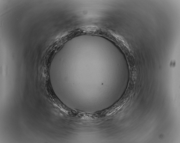 X0000098211445200805151241