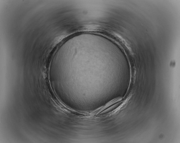 X0000098211449200805151241