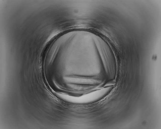 X0000098211450200805151241