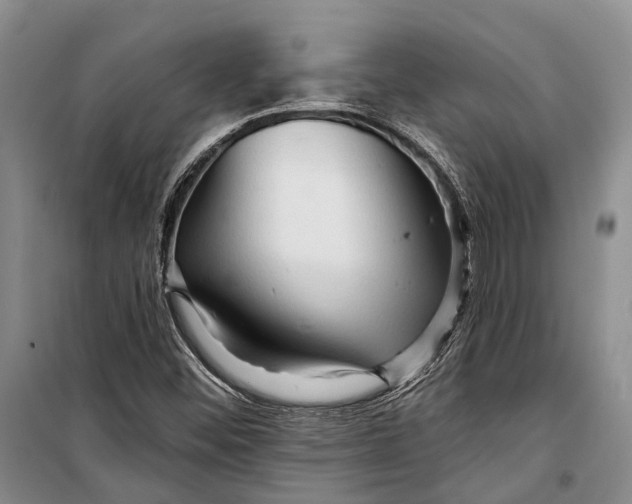 X0000098211452200805151241