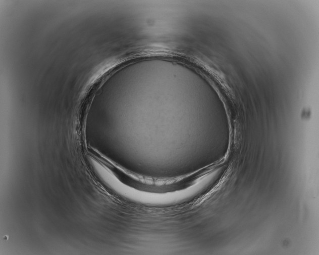 X0000098211453200805151241