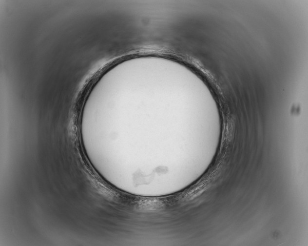 X0000098211454200805151241