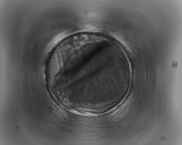 X0000098211455200805151241