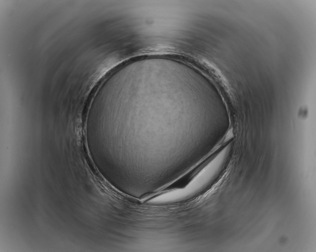 X0000098211457200805151241