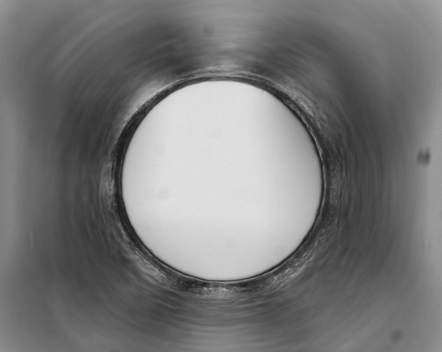 X0000098211458200805151241