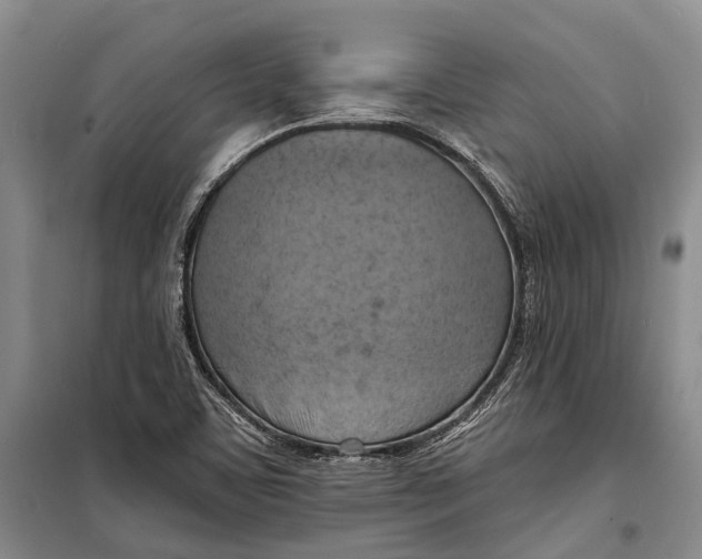 X0000098211459200805151241