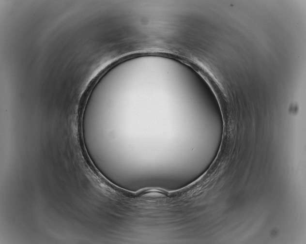 X0000098211460200805151241