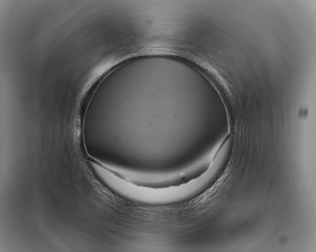 X0000098211461200805151241