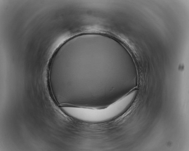 X0000098211463200805151241