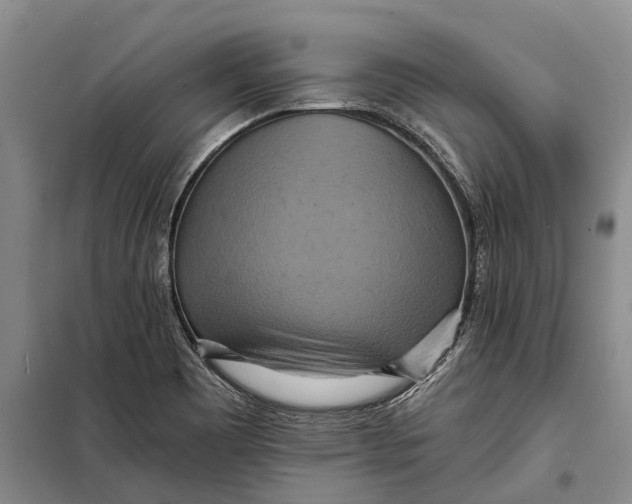 X0000098211465200805151240