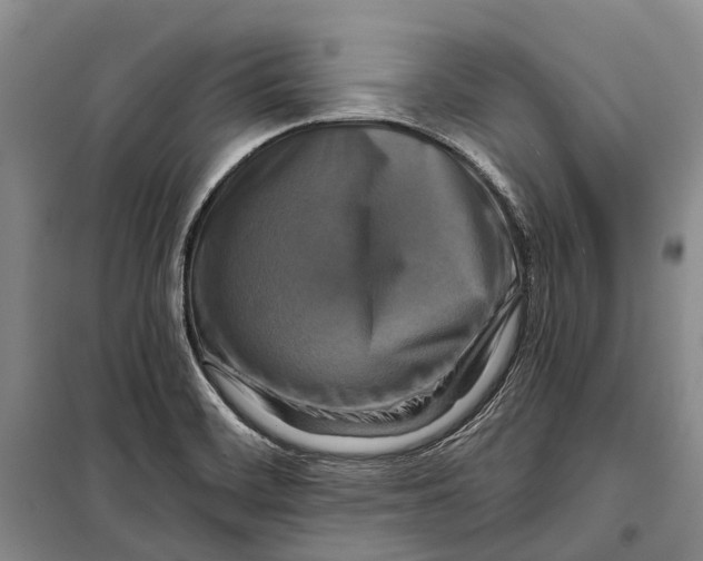X0000098211468200805151240