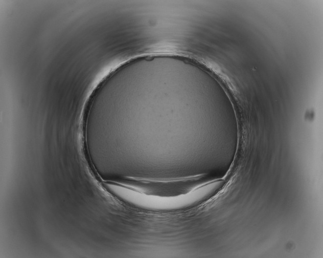 X0000098211469200805151240