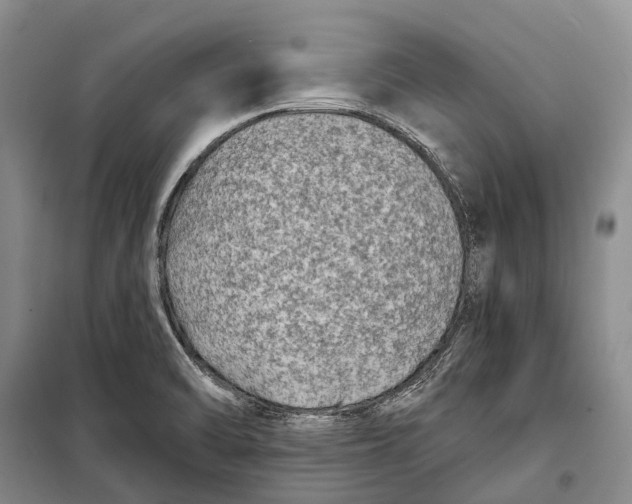 X0000098211470200805151240