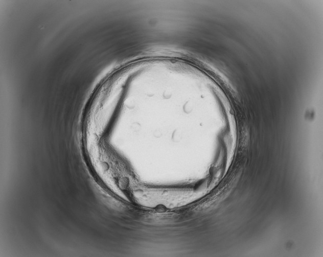 X0000098211471200805151240