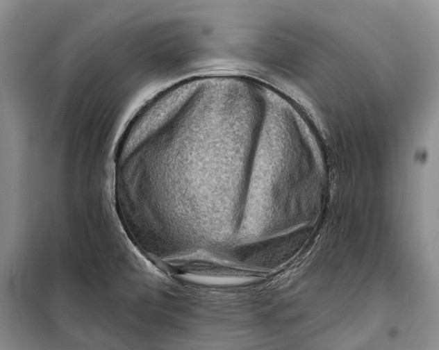 X0000098211472200805151240