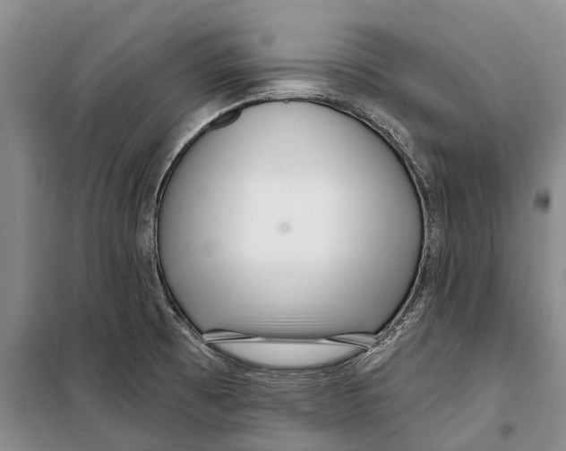 X0000098211473200805151240