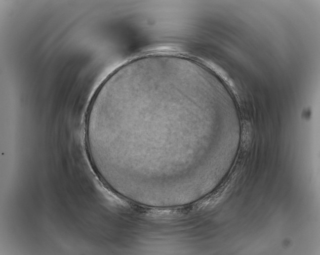 X0000098211474200805151240