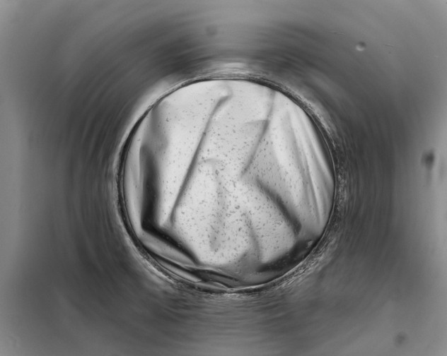 X0000098211475200805151240