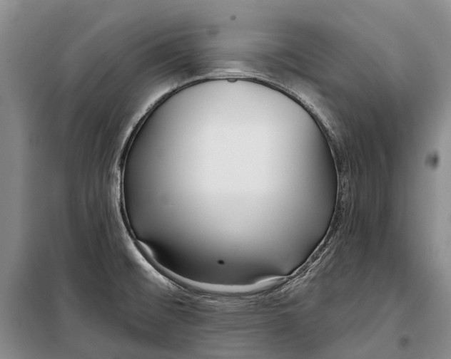 X0000098211476200805151240