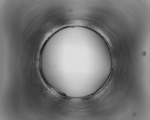 X0000098211477200805151240