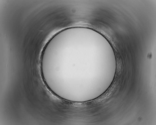 X0000098211478200805151240