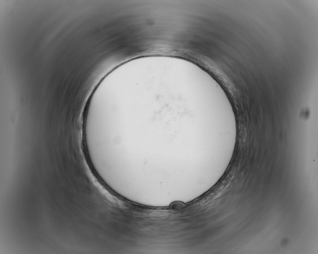 X0000098211479200805151240