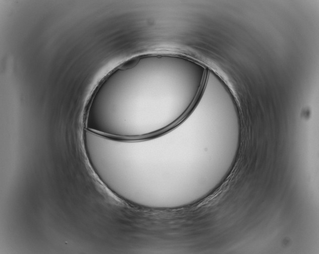 X0000098211480200805151240