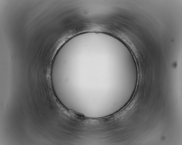X0000098211481200805151240