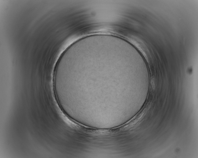 X0000098211482200805151240