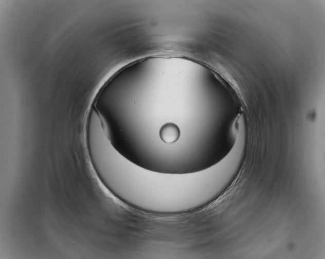 X0000098211484200805151240