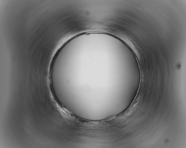 X0000098211485200805151240