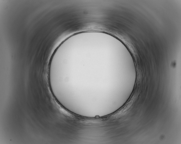 X0000098211486200805151240