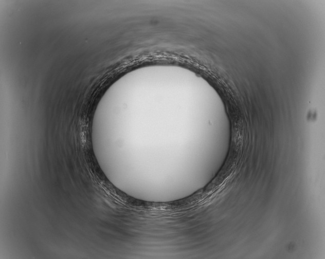 X0000098211490200805151239