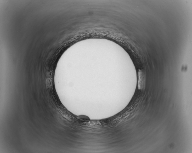 X0000098211491200805151239