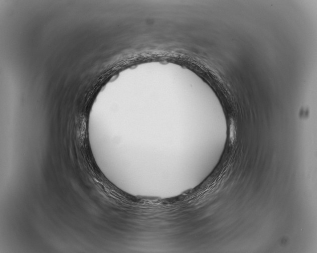 X0000098211492200805151240