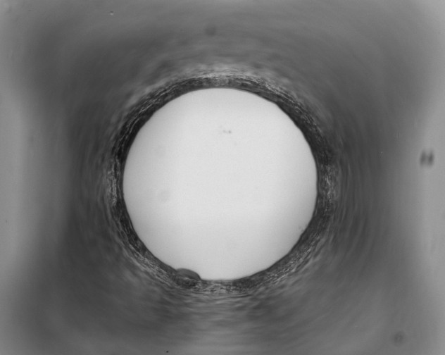 X0000098211493200805151240