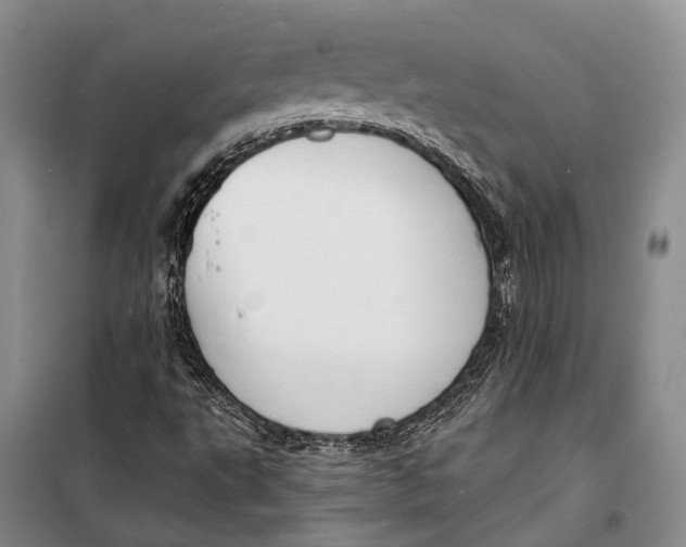 X0000098211495200805151240