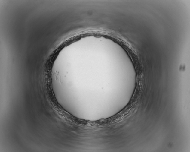 X0000098211496200805151240