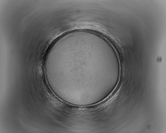 X0000098211497200805151240