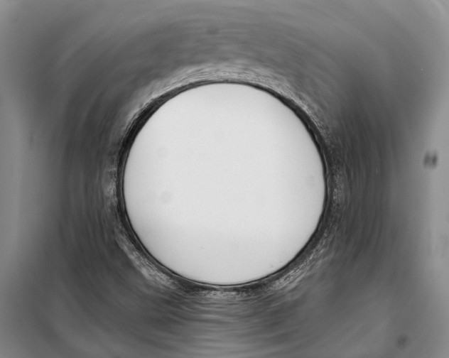 X0000098211499200805151240