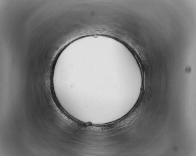 X0000098211500200805151240