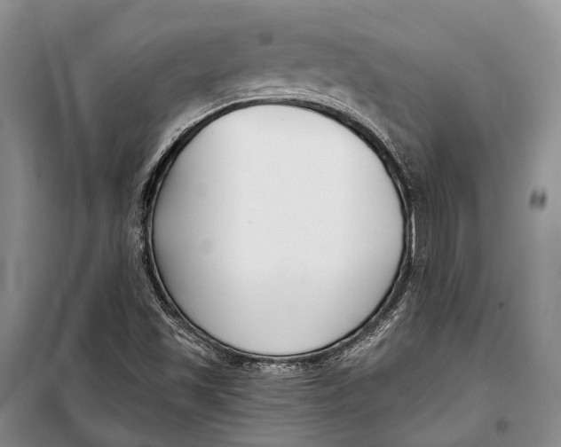 X0000098211501200805151240